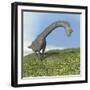 Brachiosaurus Dinosaur-null-Framed Art Print