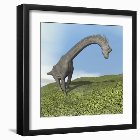 Brachiosaurus Dinosaur-null-Framed Art Print