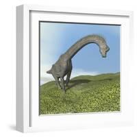 Brachiosaurus Dinosaur-null-Framed Art Print