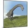 Brachiosaurus Dinosaur-null-Mounted Art Print