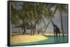 Brachiosaurus Dinosaurs Grazing at the Water's Edge-null-Framed Stretched Canvas