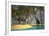 Brachiosaurus Dinosaurs Grazing at the Water's Edge-null-Framed Art Print