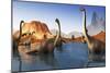 Brachiosaurus Dinosaurs Grazing in a Prehistoric Lake-Stocktrek Images-Mounted Art Print