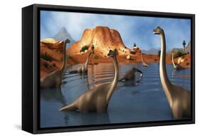 Brachiosaurus Dinosaurs Grazing in a Prehistoric Lake-Stocktrek Images-Framed Stretched Canvas