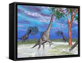 Brachiosaurus Dinosaurs Grazing on Trees-null-Framed Stretched Canvas