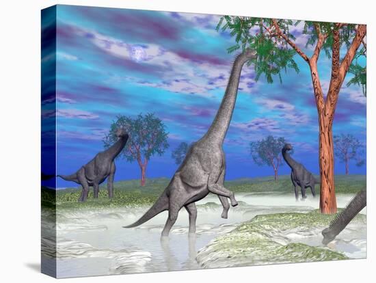 Brachiosaurus Dinosaurs Grazing on Trees-null-Stretched Canvas