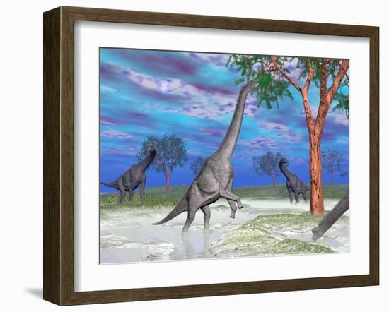 Brachiosaurus Dinosaurs Grazing on Trees-null-Framed Art Print