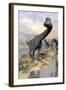 Brachiosaurus Dinosaurs Near Water with Reflection by Sunset and Full Moon-null-Framed Art Print