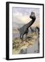 Brachiosaurus Dinosaurs Near Water with Reflection by Sunset and Full Moon-null-Framed Art Print