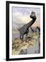 Brachiosaurus Dinosaurs Near Water with Reflection by Sunset and Full Moon-null-Framed Art Print