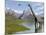 Brachiosaurus Dinosaurs Walking in a Stream on a Beautiful Day-null-Mounted Art Print