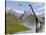 Brachiosaurus Dinosaurs Walking in a Stream on a Beautiful Day-null-Stretched Canvas