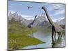 Brachiosaurus Dinosaurs Walking in a Stream on a Beautiful Day-null-Mounted Art Print