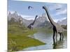 Brachiosaurus Dinosaurs Walking in a Stream on a Beautiful Day-null-Mounted Art Print