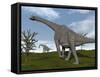 Brachiosaurus Dinosaurs Walking in an Open Field-null-Framed Stretched Canvas