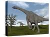Brachiosaurus Dinosaurs Walking in an Open Field-null-Stretched Canvas