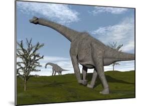 Brachiosaurus Dinosaurs Walking in an Open Field-null-Mounted Art Print