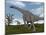 Brachiosaurus Dinosaurs Walking in an Open Field-null-Mounted Art Print