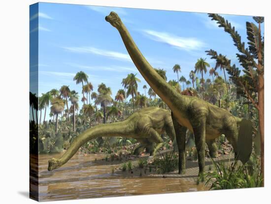 Brachiosaurus Dinosaurs-Roger Harris-Stretched Canvas