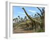 Brachiosaurus Dinosaurs-Roger Harris-Framed Photographic Print