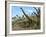 Brachiosaurus Dinosaurs-Roger Harris-Framed Photographic Print