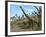 Brachiosaurus Dinosaurs-Roger Harris-Framed Photographic Print