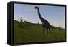 Brachiosaurus Grazing in a Grassy Field-null-Framed Stretched Canvas