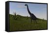 Brachiosaurus Grazing in a Grassy Field-null-Framed Stretched Canvas