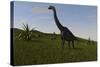 Brachiosaurus Grazing in a Grassy Field-null-Stretched Canvas