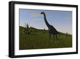 Brachiosaurus Grazing in a Grassy Field-null-Framed Art Print