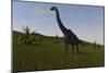 Brachiosaurus Grazing in a Grassy Field-null-Mounted Art Print