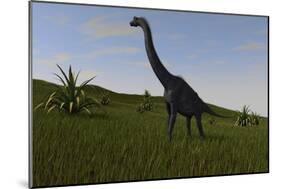 Brachiosaurus Grazing in a Grassy Field-null-Mounted Art Print