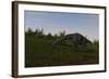 Brachiosaurus Grazing in a Grassy Field-null-Framed Art Print