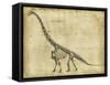 Brachiosaurus Study-Ethan Harper-Framed Stretched Canvas