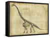 Brachiosaurus Study-Ethan Harper-Framed Stretched Canvas