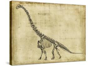 Brachiosaurus Study-Ethan Harper-Stretched Canvas