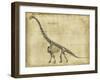 Brachiosaurus Study-Ethan Harper-Framed Art Print