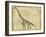 Brachiosaurus Study-Ethan Harper-Framed Art Print