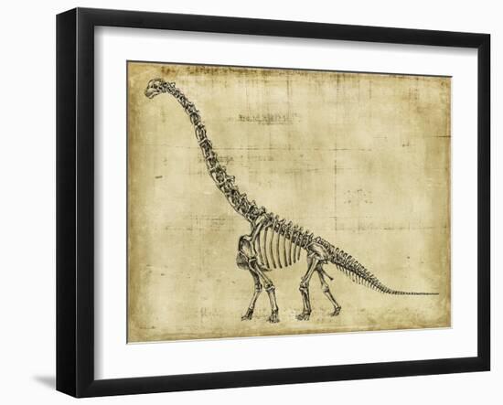 Brachiosaurus Study-Ethan Harper-Framed Art Print