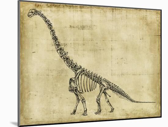 Brachiosaurus Study-Ethan Harper-Mounted Art Print