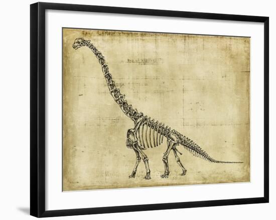 Brachiosaurus Study-Ethan Harper-Framed Art Print