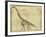 Brachiosaurus Study-Ethan Harper-Framed Art Print