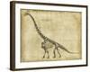 Brachiosaurus Study-Ethan Harper-Framed Art Print