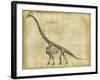 Brachiosaurus Study-Ethan Harper-Framed Art Print