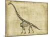 Brachiosaurus Study-Ethan Harper-Mounted Art Print