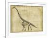 Brachiosaurus Study-Ethan Harper-Framed Art Print