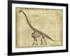 Brachiosaurus Study-Ethan Harper-Framed Art Print