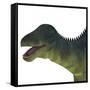 Brachytrachelopan Dinosaur Portrait-Stocktrek Images-Framed Stretched Canvas