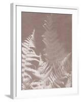 Bracken in Grey-Sarah Cheyne-Framed Giclee Print