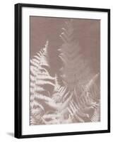 Bracken in Grey-Sarah Cheyne-Framed Giclee Print